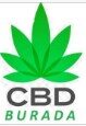 CBD BURADA